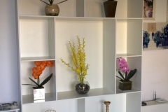 PrudenFlora4